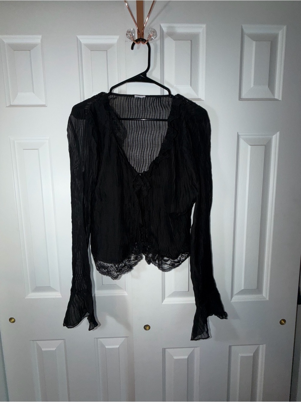 Black Lace-Trim Sheer Blouse - Women Tops